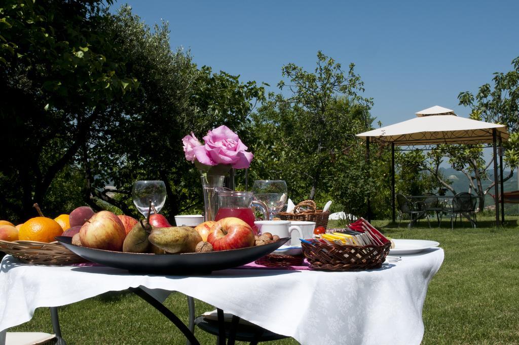 Cascina Rosa B&B Grazzano Badoglio Exterior foto